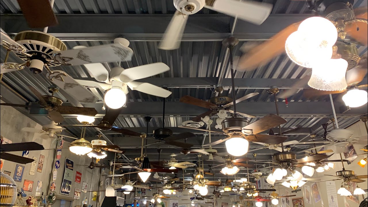 Fanimation Museum Upper Level Ceiling Fans
