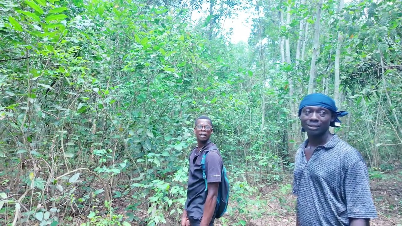 Представитель диаспоры покупает 10 акров земли у себя на родине в Гане