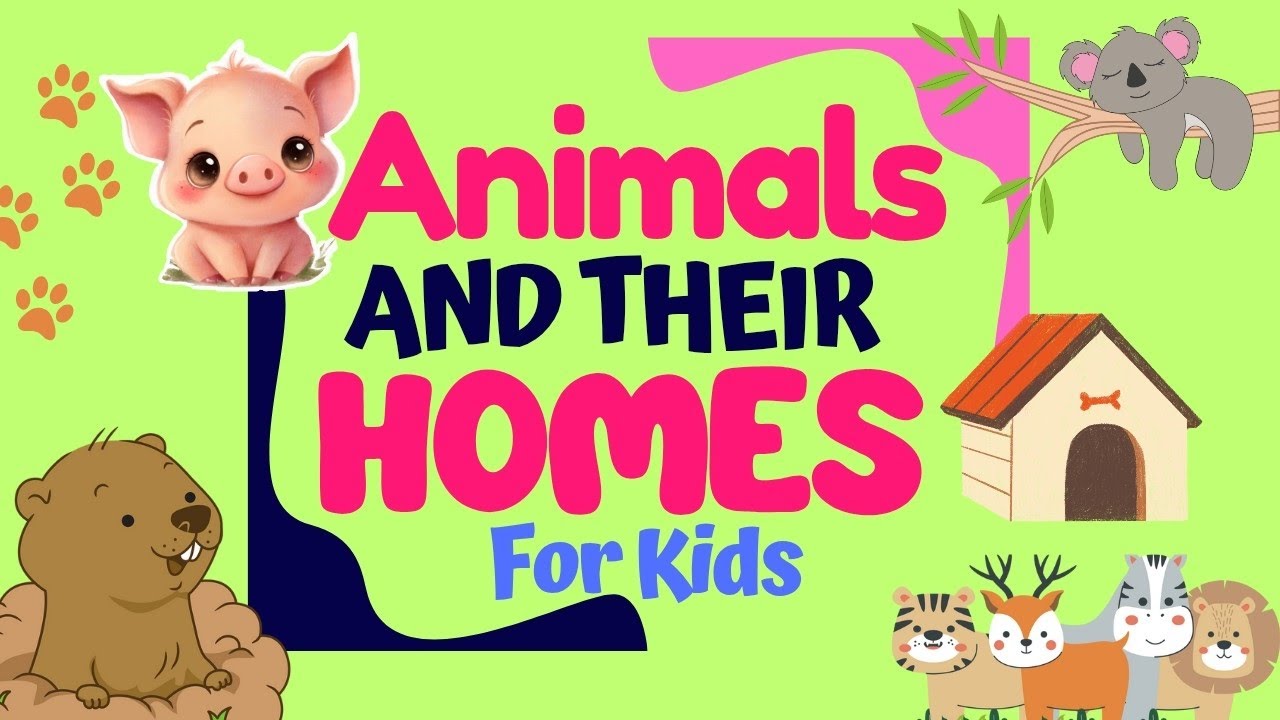 Let's Learn about ANIMALS and their HOMES 🏡!  Names of animal homes. Best for kids. #animals #home 