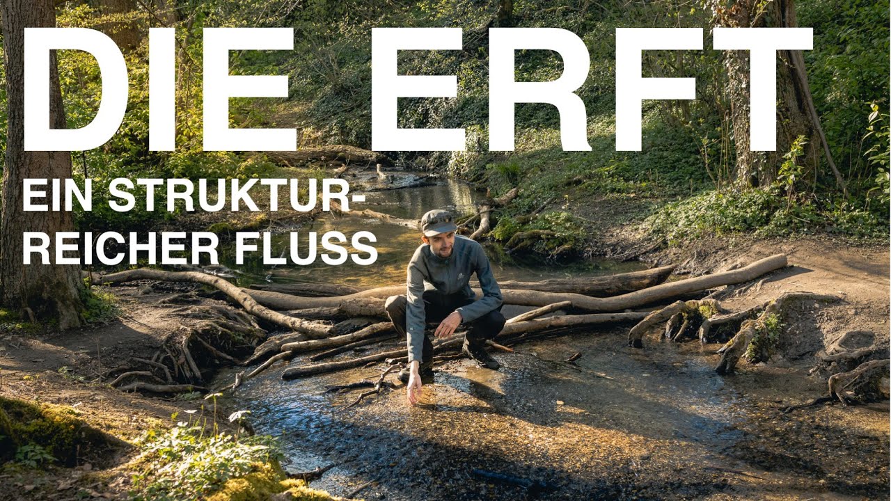 DIE ERFT | Ein strukturreicher Fluss