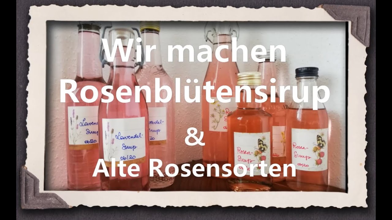 Wir machen Rosenblütensirup