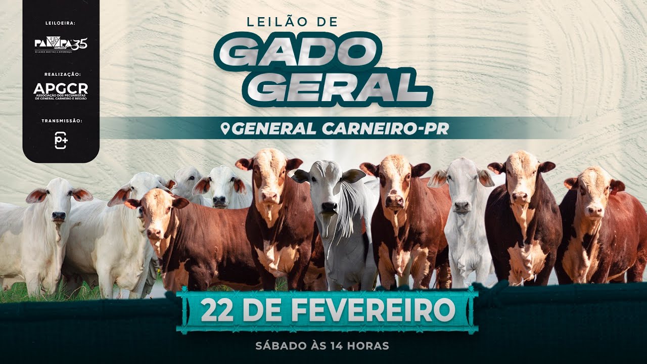 Leilão de Gado Geral, GENERAL CARNEIRO/PR 22/02/2025 14:00h