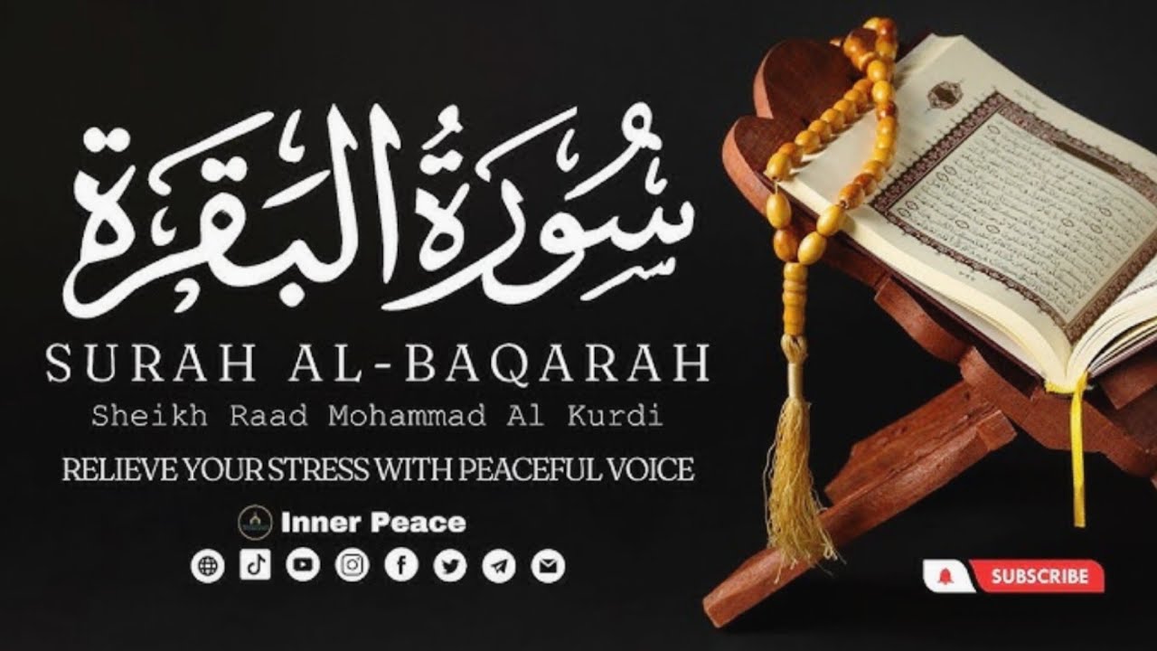 Surah Al-Baqarah | Recitation with Deep Reflection