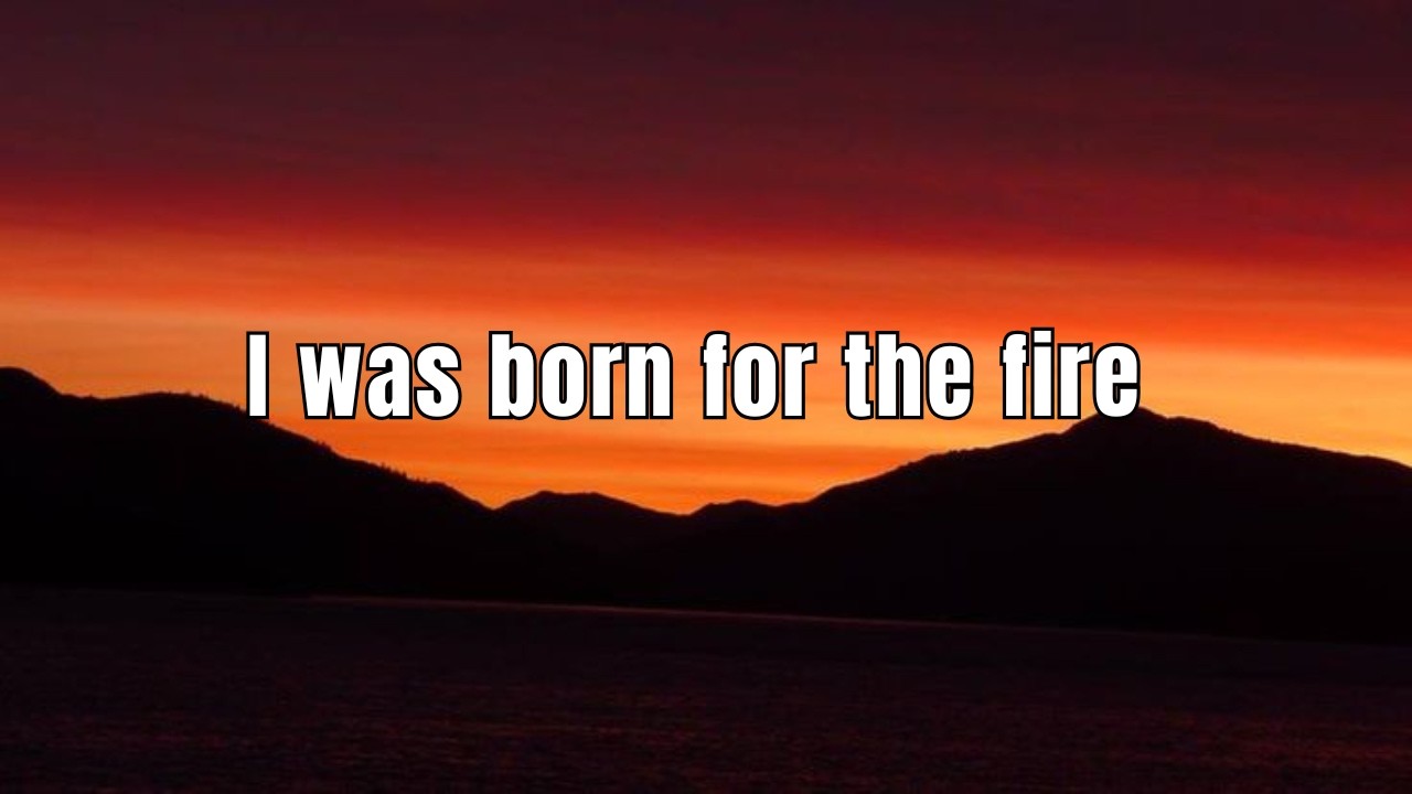 I was born for the fire | Echoes of Code