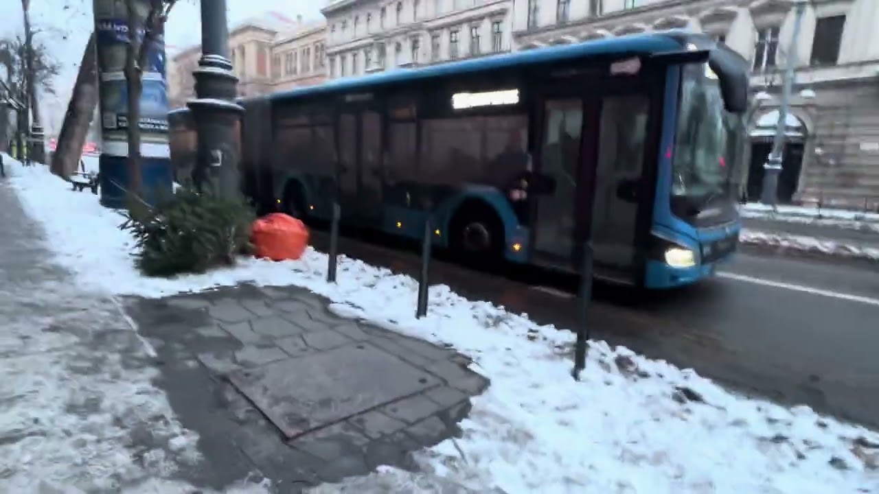 Морозный день в Венгрии ❄️🥹