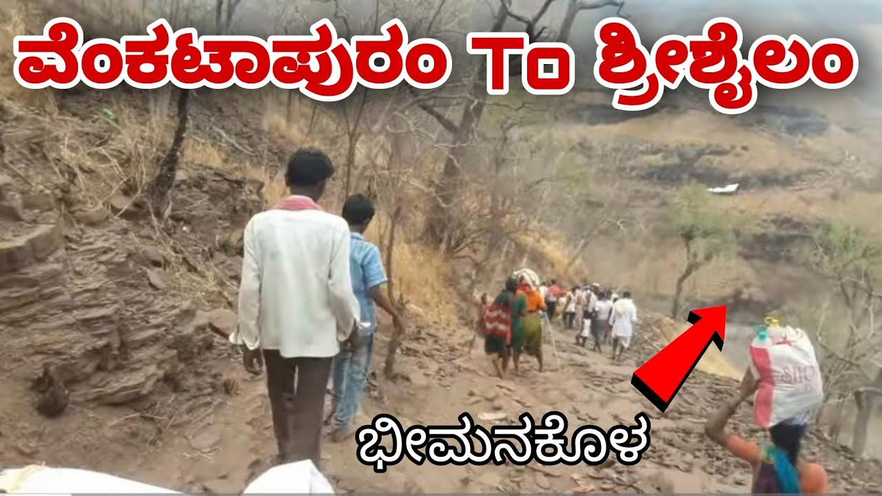 ವೆಂಕಟಾಪುರದಿಂದ ಶ್ರೀಶೈಲಕ್ಕೆ ಪಾದಯಾತ್ರೆ Part 2 | 55Km Trekking NalamalaForest | Srisailam Padayatra 2022