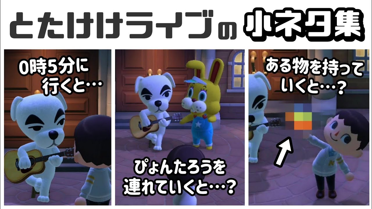 【あつ森】アプデで変わった「とたけけライブ」に隠れた細かすぎる小ネタ集！【あつまれ どうぶつの森】@レウンGameTV