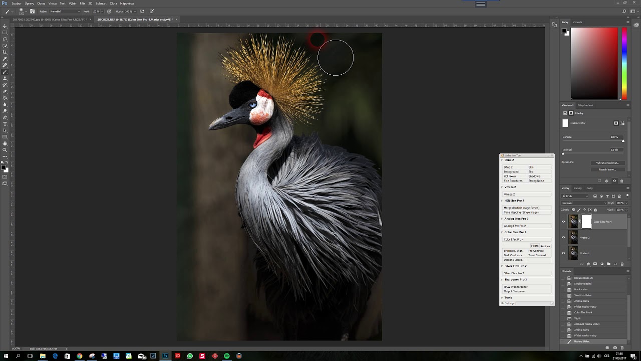 Photoshop - úprava jeřába královského by Patrik Staněk