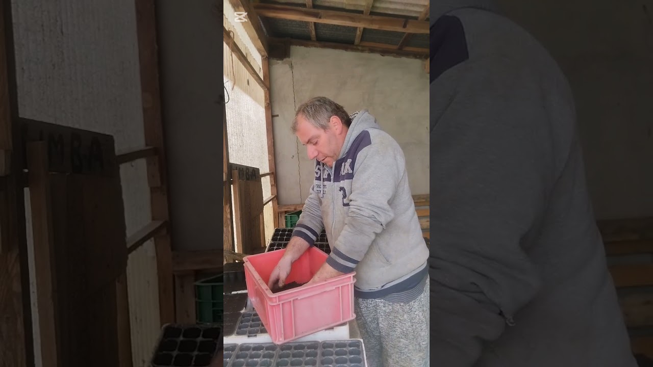 27 episodio della mia vita in campagna oggi seminiamo i fagiolini mangiatutto 