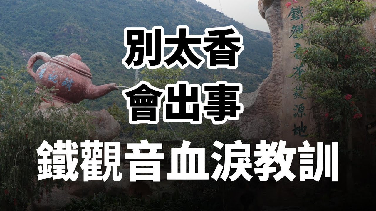 【市場觀察】別太香，會出事，安溪鐵觀音教我們的事