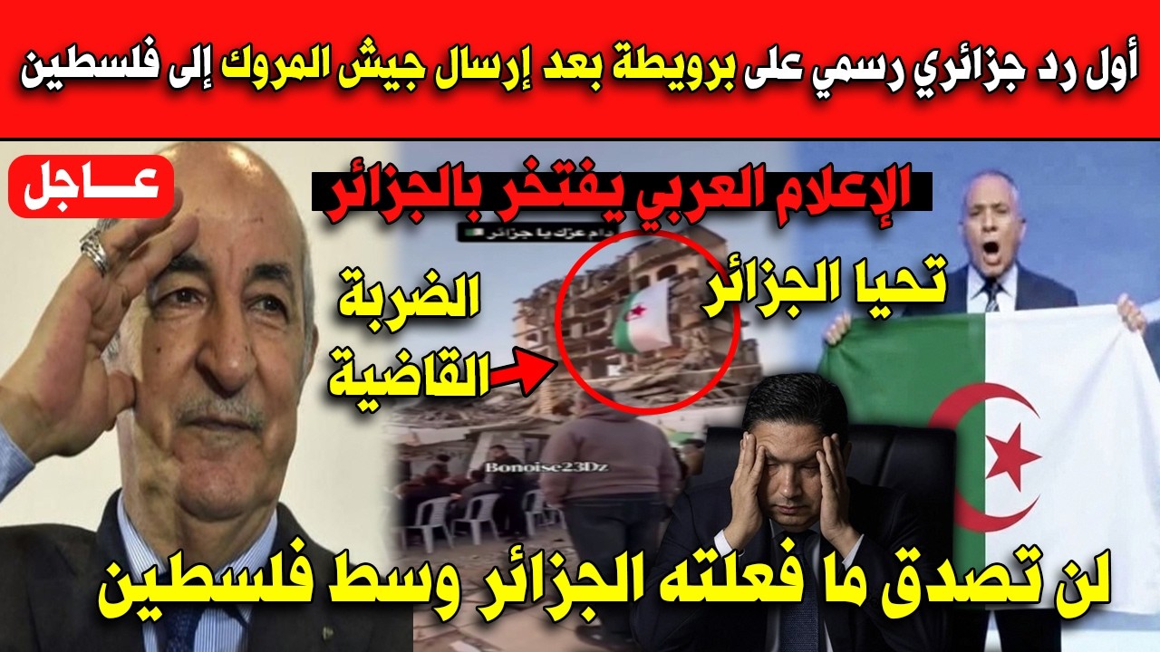 عاااجل أول رد جزائري رسمي على برويطة بعد إرسال جيش المروك إلى فلسطين.. لن تصدق ما فعلته!!