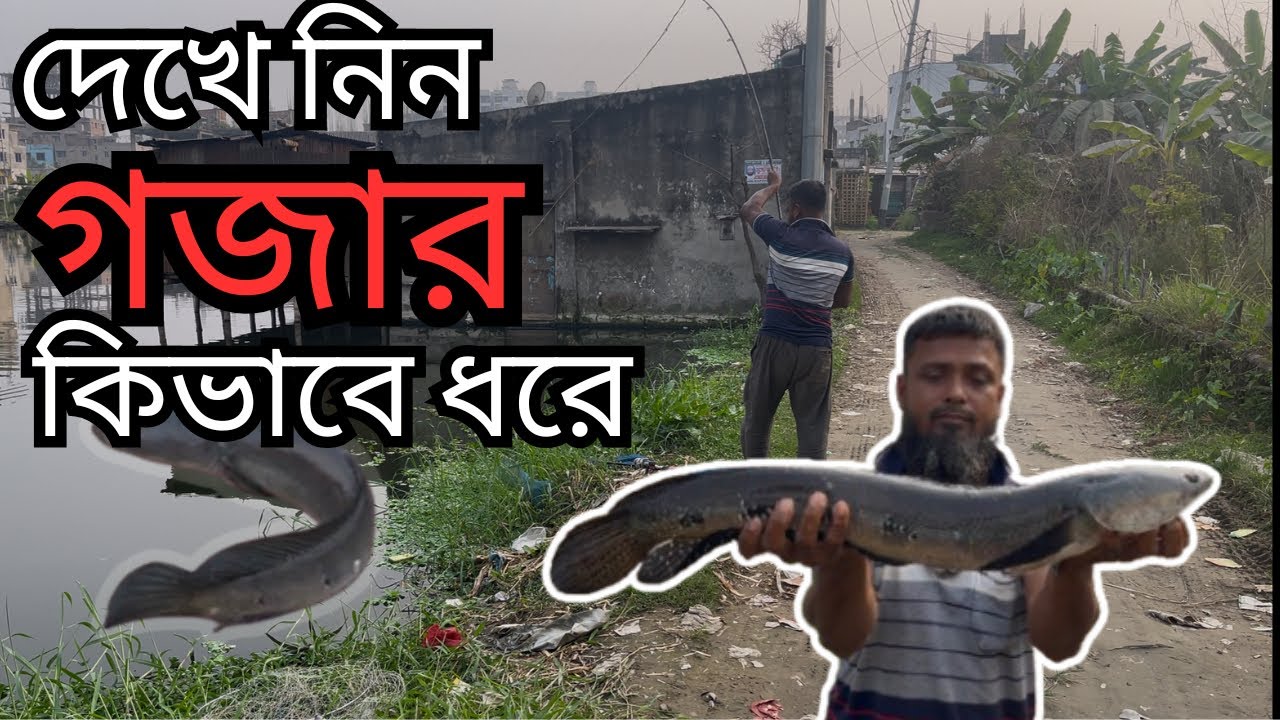 কেচোর টোপ দিয়ে বড় শৌল-গজার মাছ ধরা | Catching Big Snakehead  Fish in Earthworm Bait | #fishing