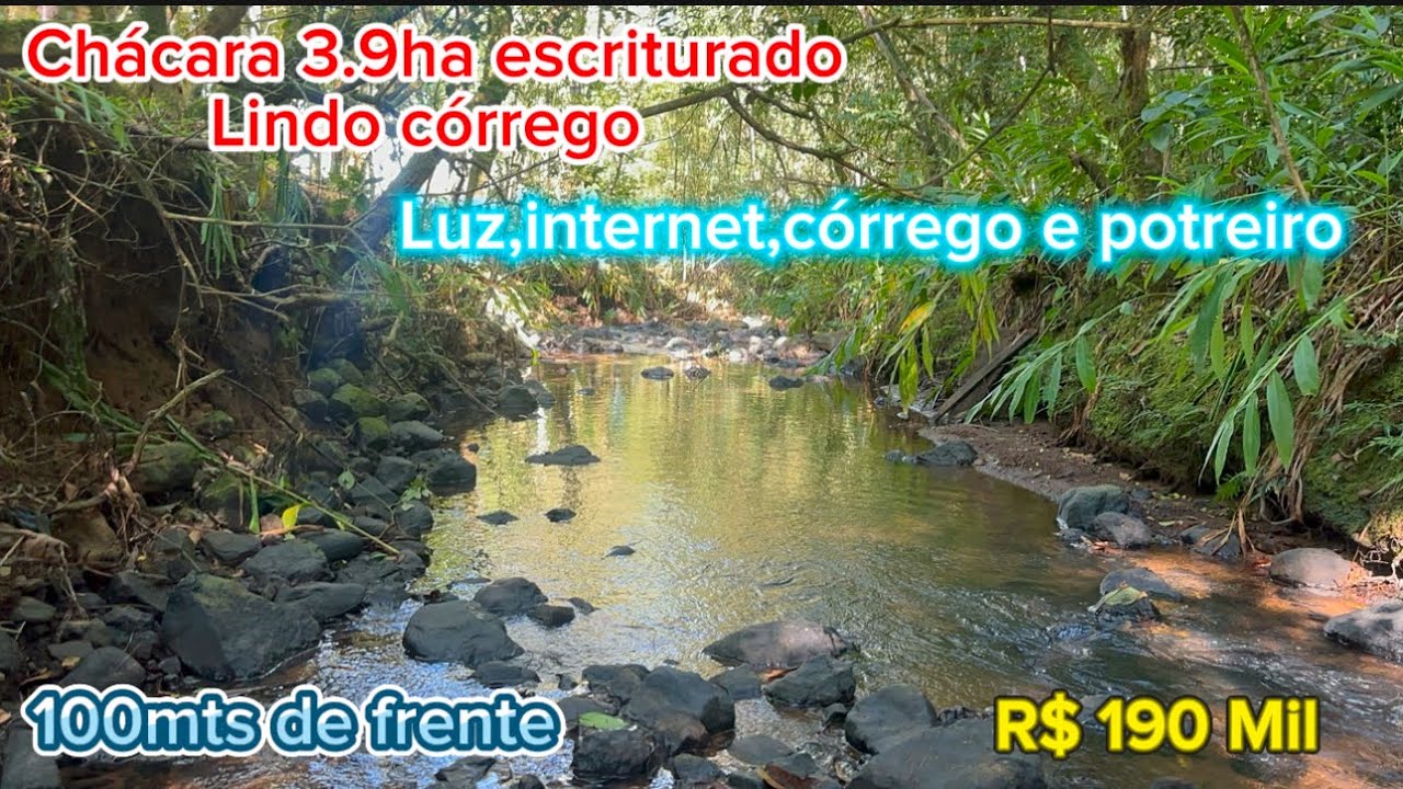 Chácara 3.9ha escriturado com córrego. R$ 190 Mil