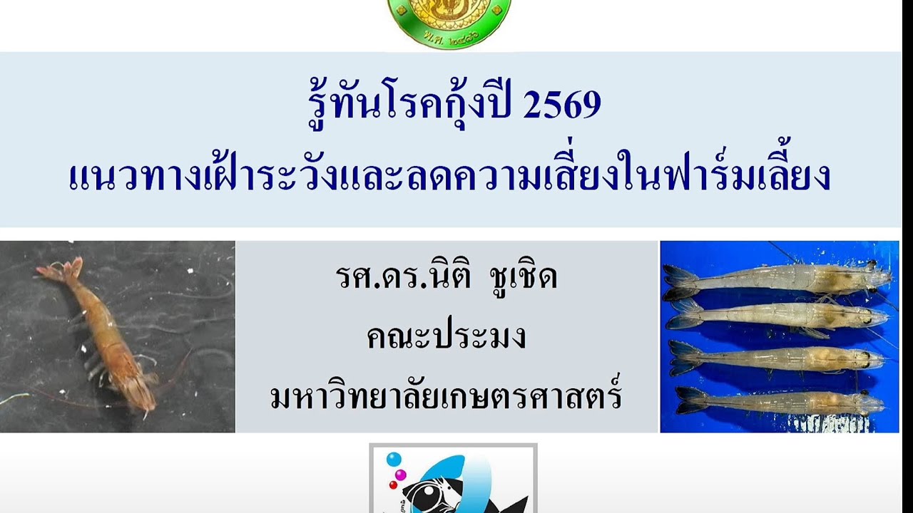 รู้ทันโรคกุ้ง ปี 2569 : แนวทางการเฝ้าระวังและลดความเสี่ยงในฟาร์มเลี้ยง