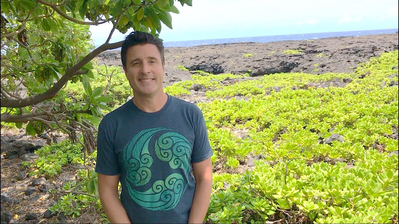 Welcome to Gentle Somatic Yoga&reg; & Somatic Wellness&trade;