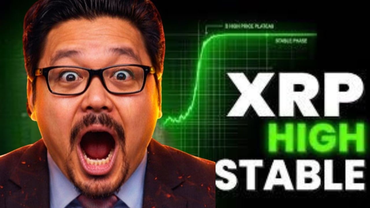 XRP High and Stable.