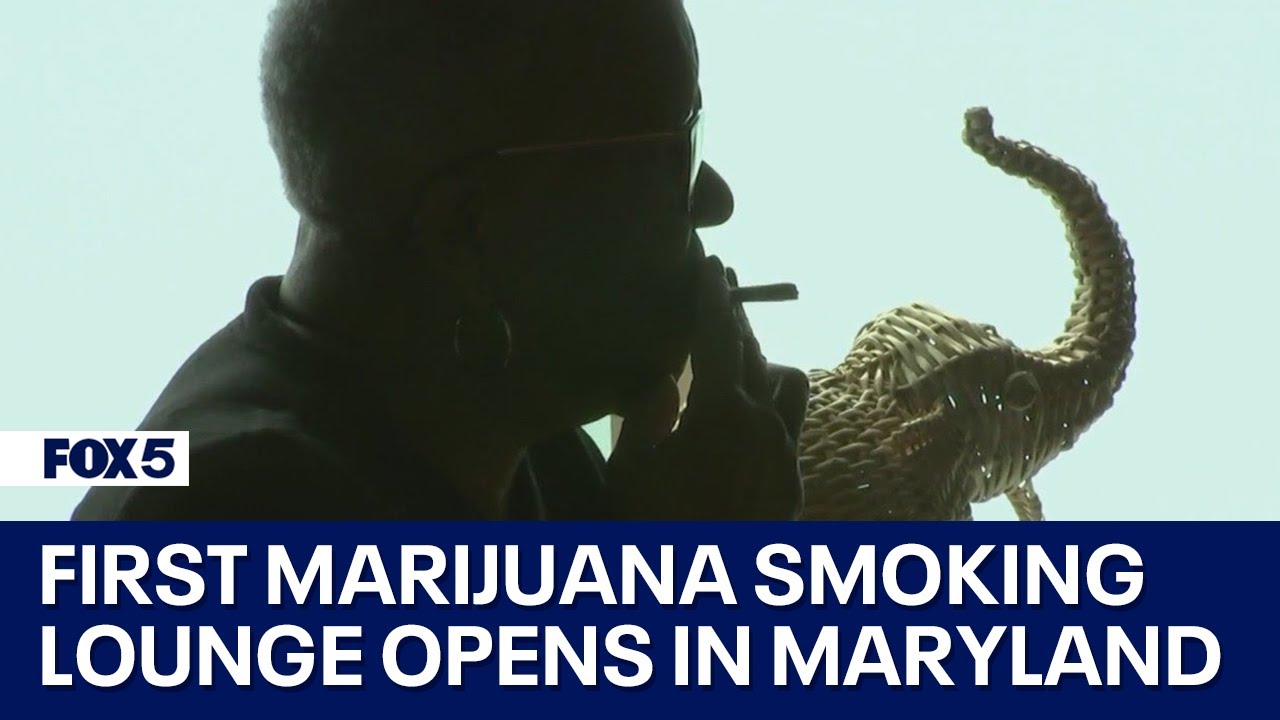 First marijuana smoking lounge opens in Maryland