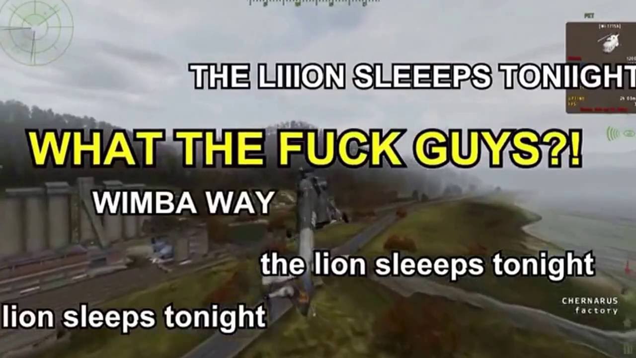 The lion sleeps tonight by the ZF Clan