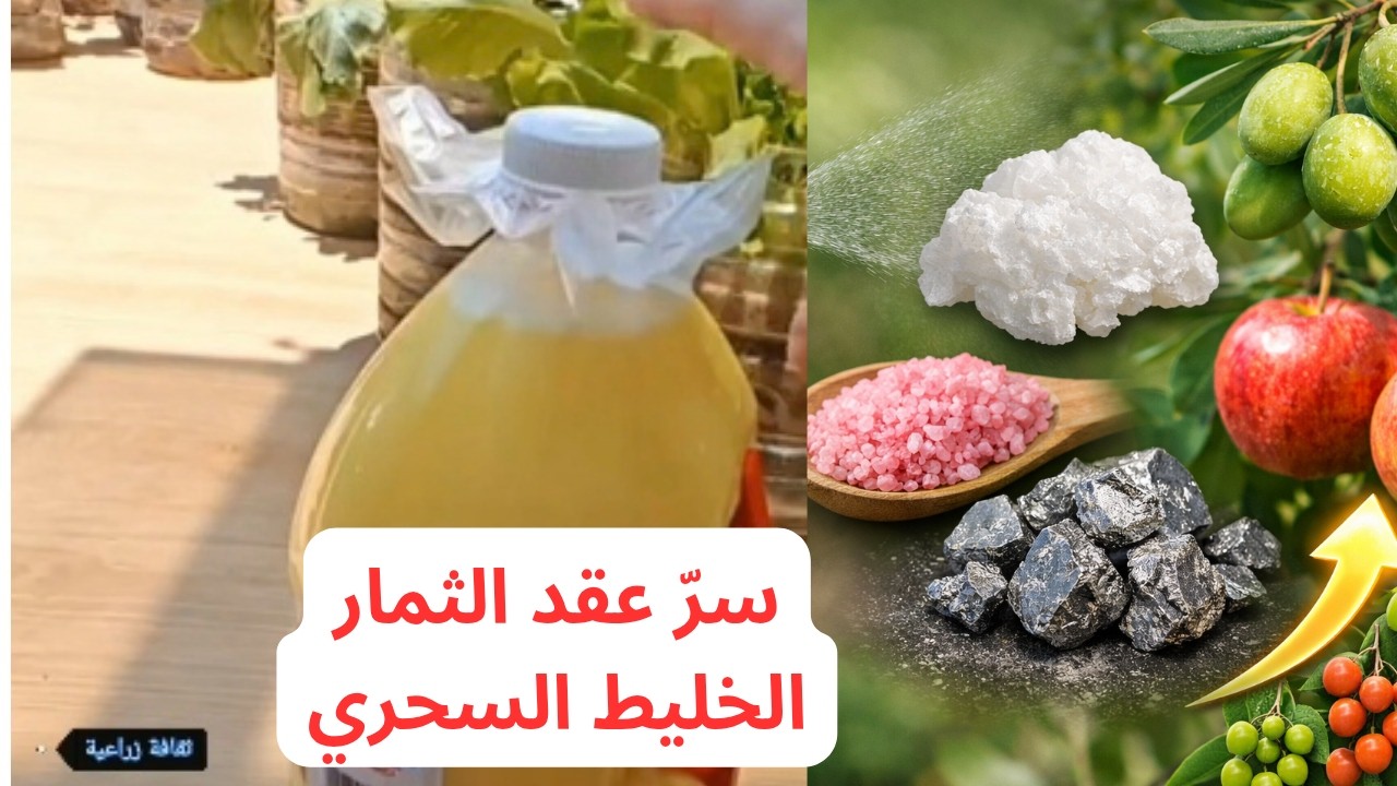 تساقط الأزهار وضعف عقد الثمار في أشجارك؟ جرب البخاخ السحري