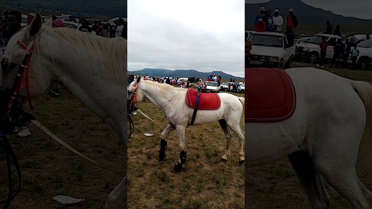 Tsolo a mampomdomise 1st of January