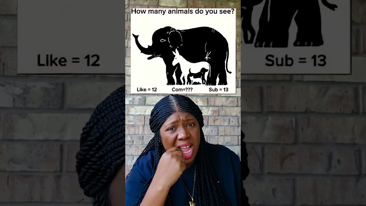 how many animals do you see? 