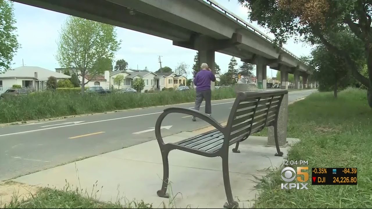 Police In Albany Investigate First Homicide In Three Years