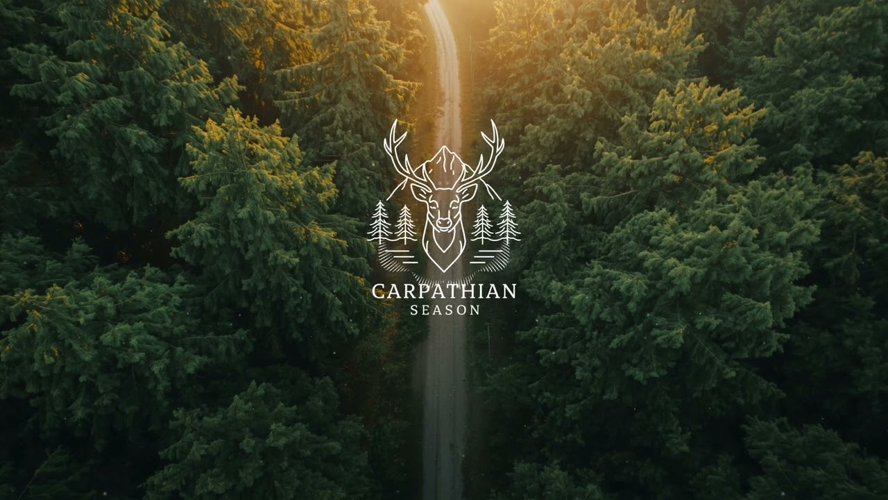 Miros de pădure &ndash; muzică de natură, liniște și reconectare interioară | Carpathian Season