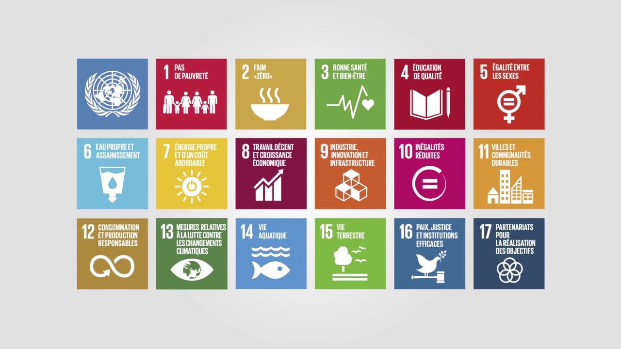 Comprendre les objectifs de d&eacute;veloppement durable