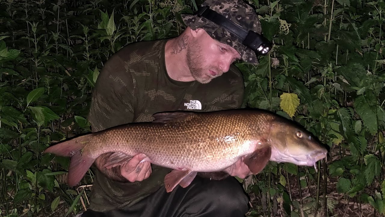 BARBEL FISHING ON THE UPPER SEVERN... JULY 16TH 23... THE BARBEL PROJECT