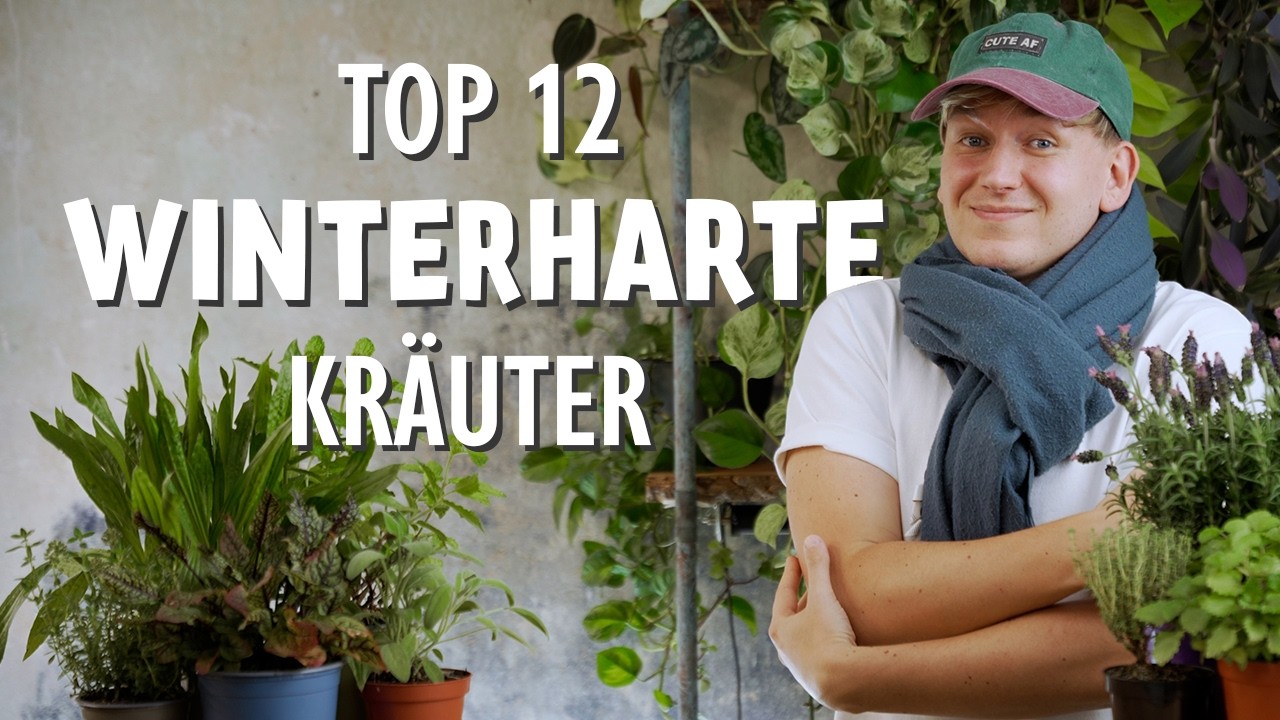 EINMAL pflanzen, IMMER ernten! Die 12 besten mehrjährigen & winterharten Kräuter für Balkon + Garten