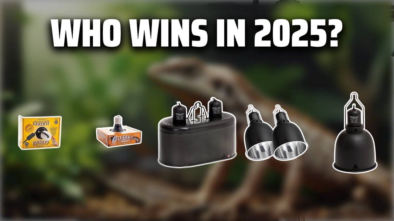 The Top 5 Best Reptile Dome Light in 2025 - Must Watch Before Buying!