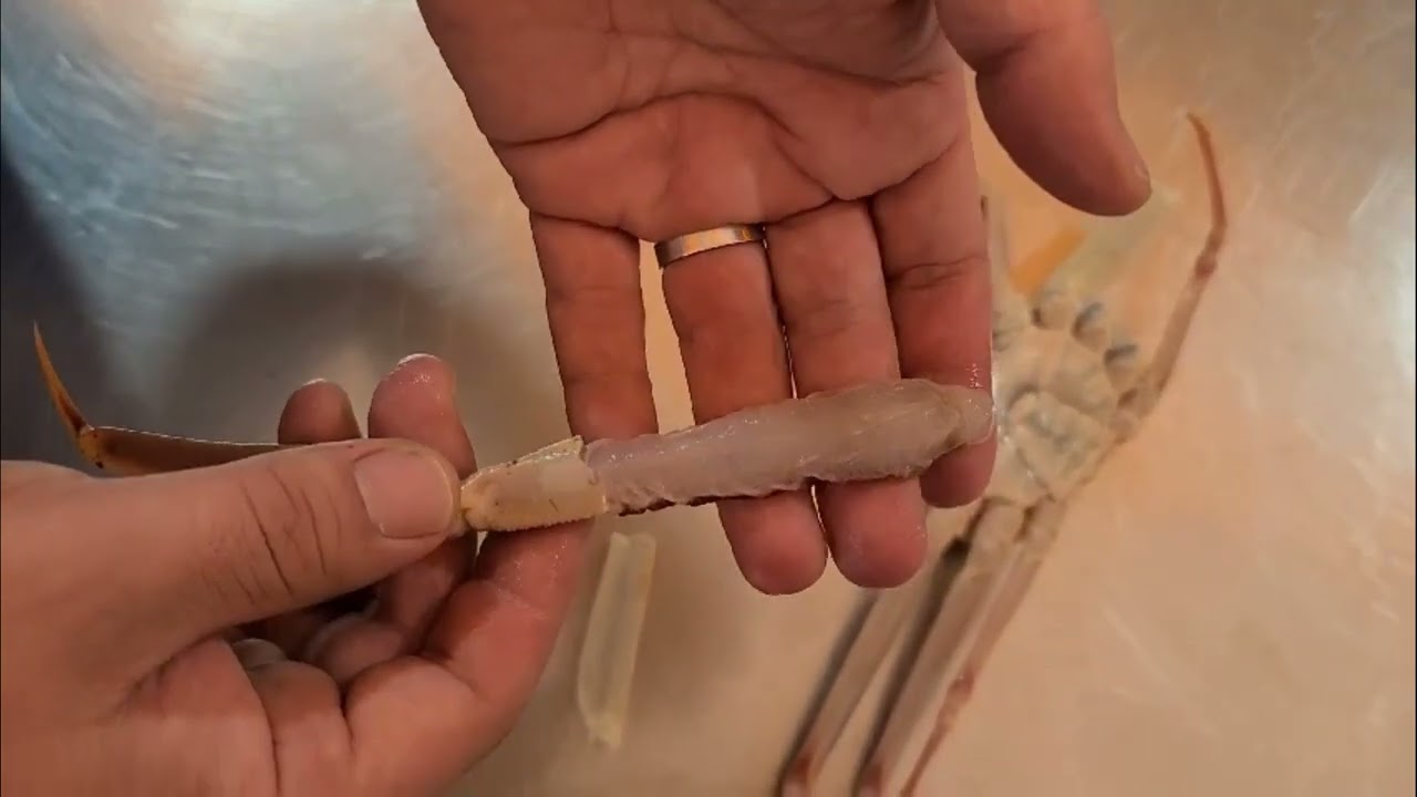 홑게 회로 먹는 방법