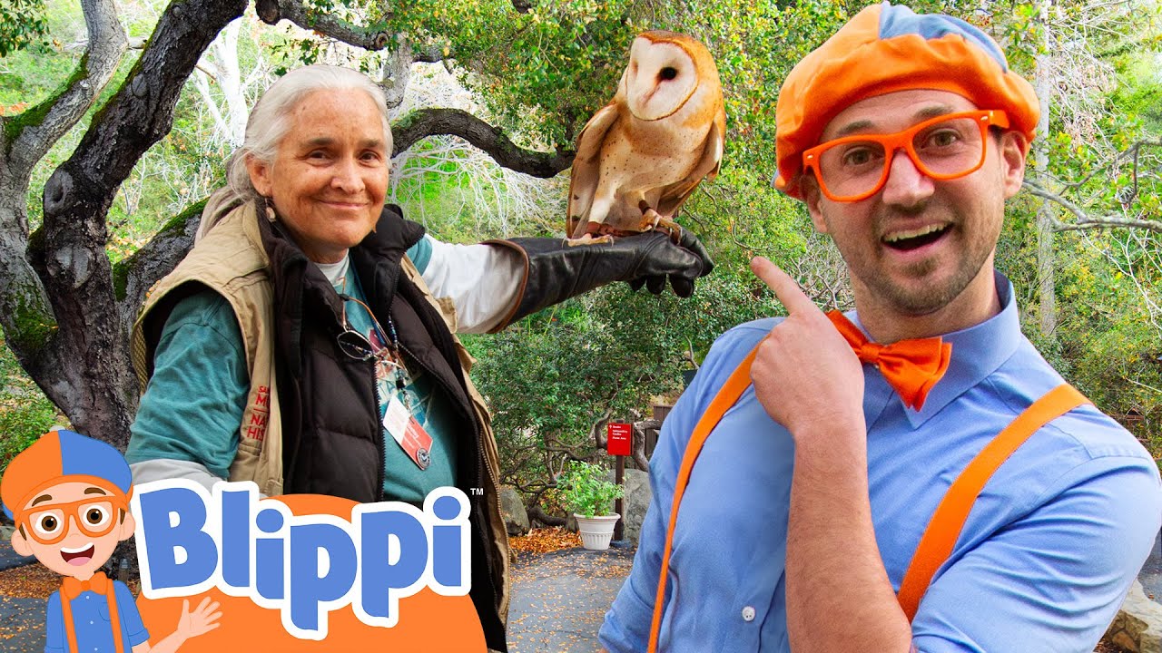 Blippi&rsquo;s Animal Friends: Discovering an Owl and a Deer! 🦌🦉- Blippi | Educational Videos for Kids