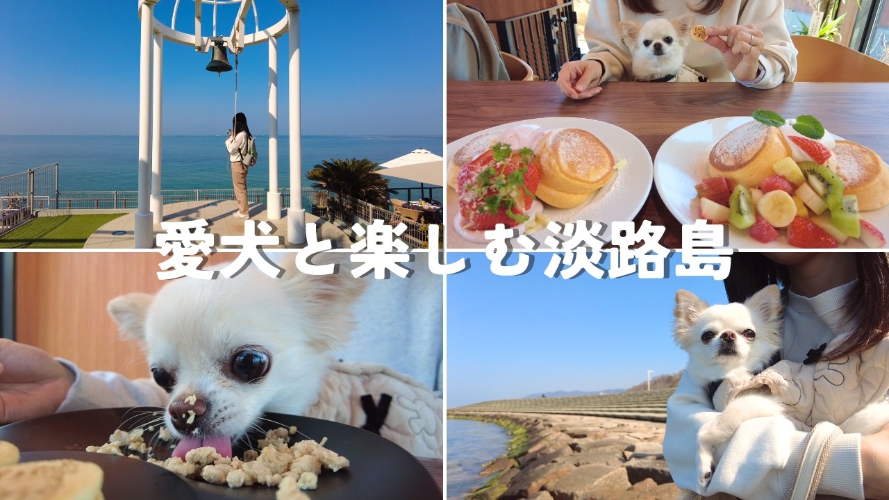 愛犬とカフェでパンケーキ、海辺散歩…淡路島に行ったら犬連れに優しい場所で最高に楽しめた