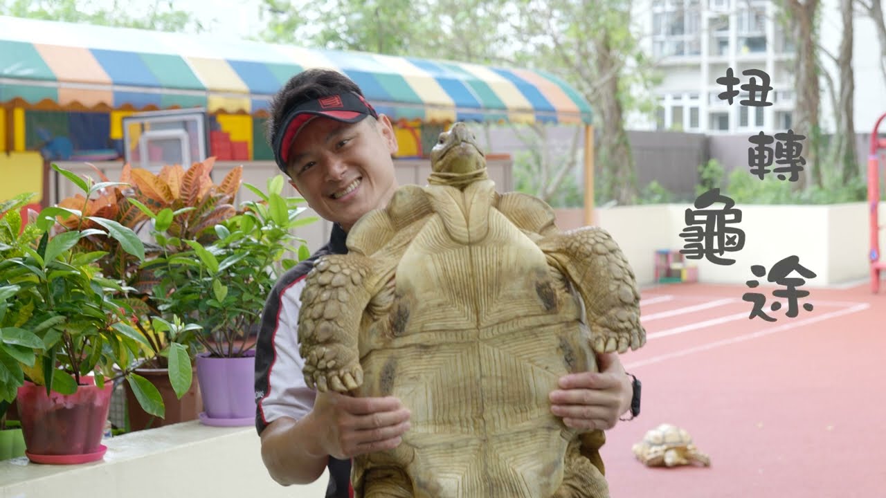 大城誌︳扭轉龜途︳綁龜浸水染顏料　淘寶幾元有一隻　彩繪龜流入香港　龜殼印上Hello Kitty變形翹起　龜義工公園救起流淚挑走顏料：從龜殼看見痛苦　生而為人感慚愧