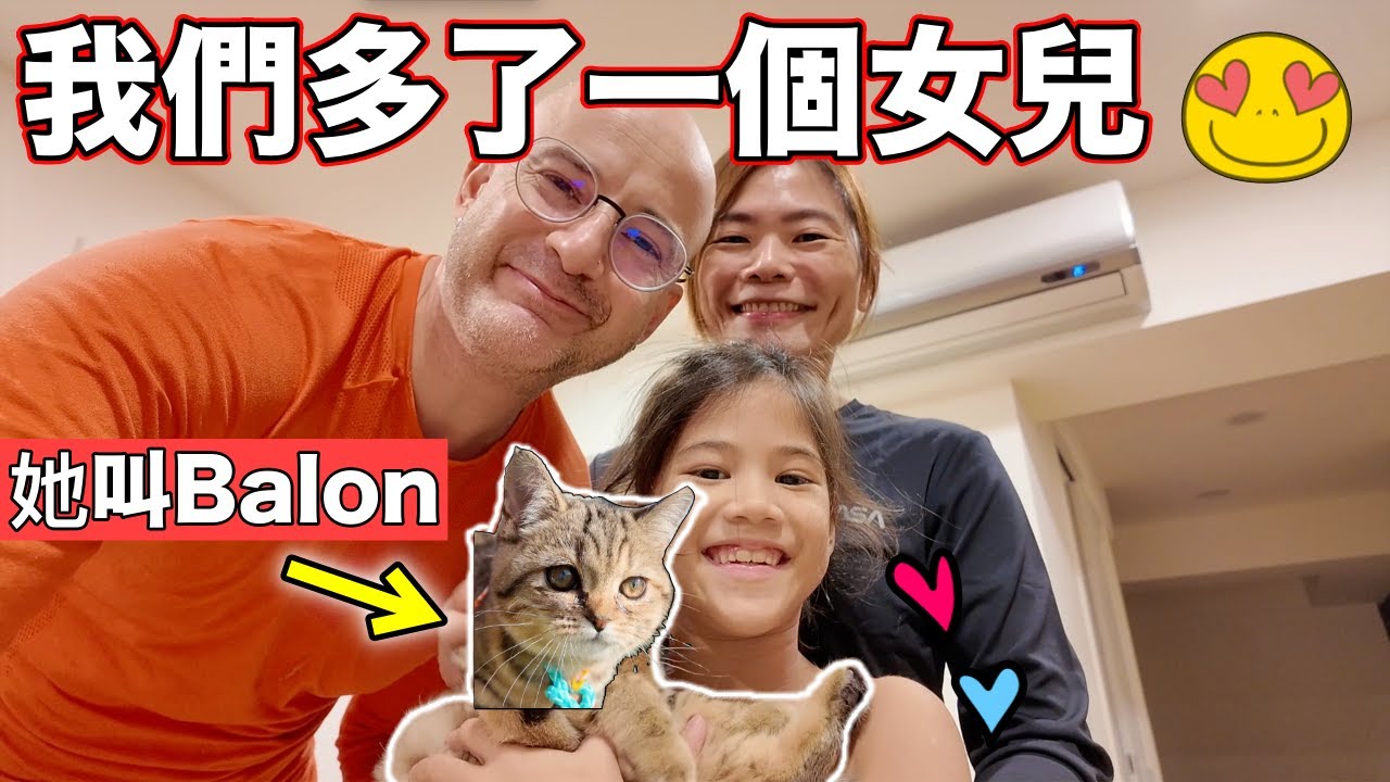 貓咪剛到新家眼睛就有問題❗️我們換了三個醫生🚨WE HAVE A CAT NOW 🐱