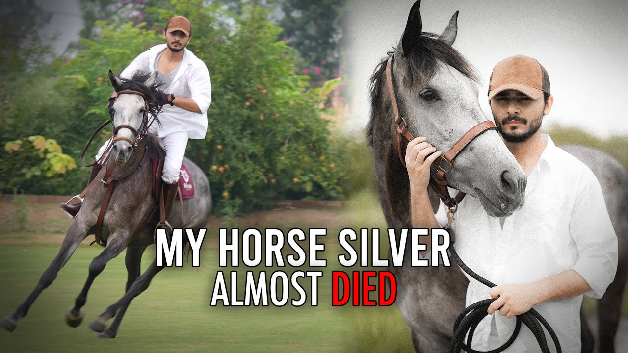 My horse Silver almost died | vlog | ukhano