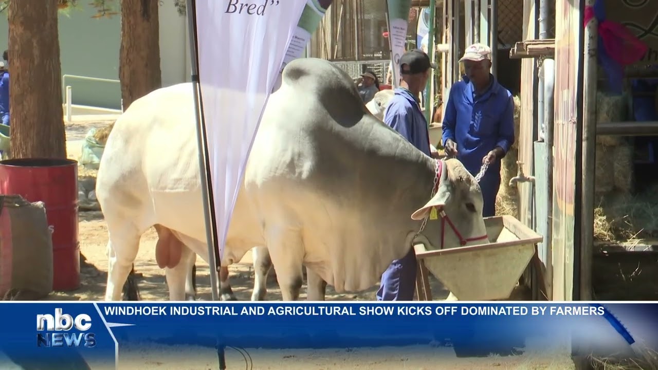 Windhoek Industrial and Agricultural Show 2025 opens  - nbc