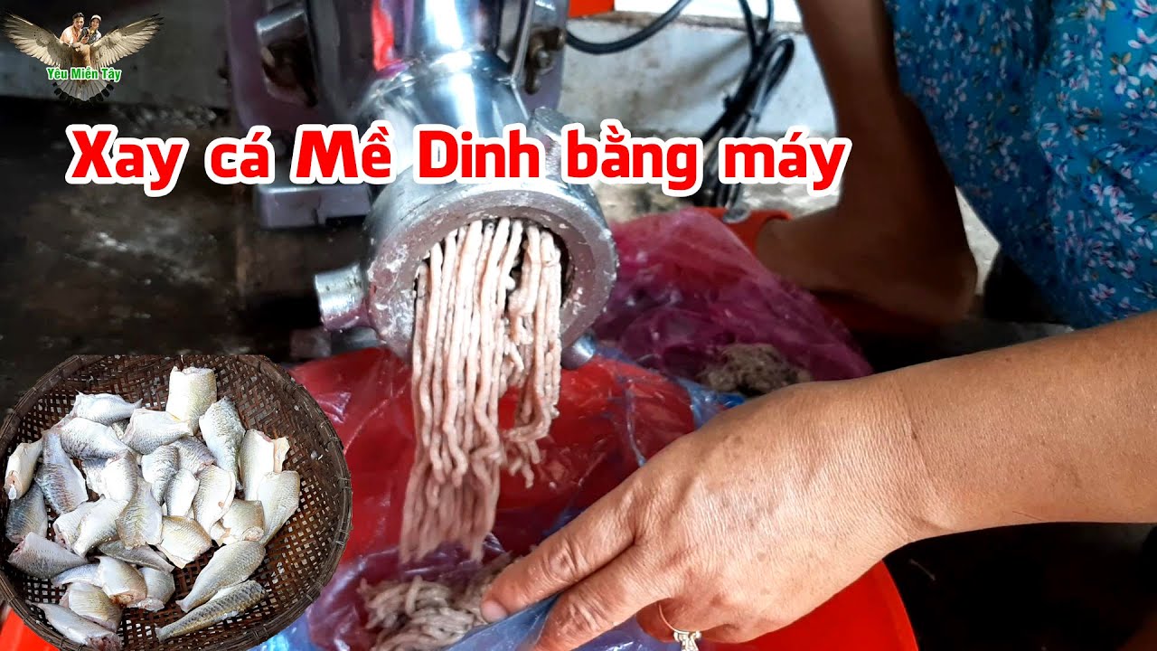 Mua cá mè dinh đem đi xay nhuyễn thử bằng máy xay│Yêu Miền Tây 63
