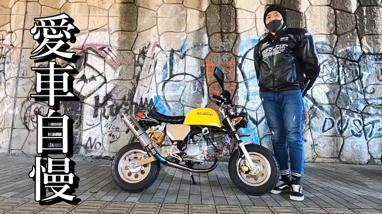 【4mini】106ccゴリラの車両紹介。エンジンキャブマフラー以外はほぼ安物で仕上げました。