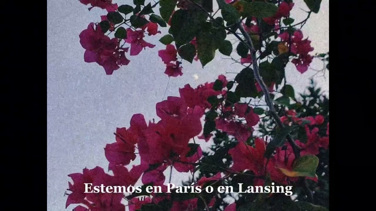 Nothing Matters When We're Dancing -The Magnetic Fields (sub. español)