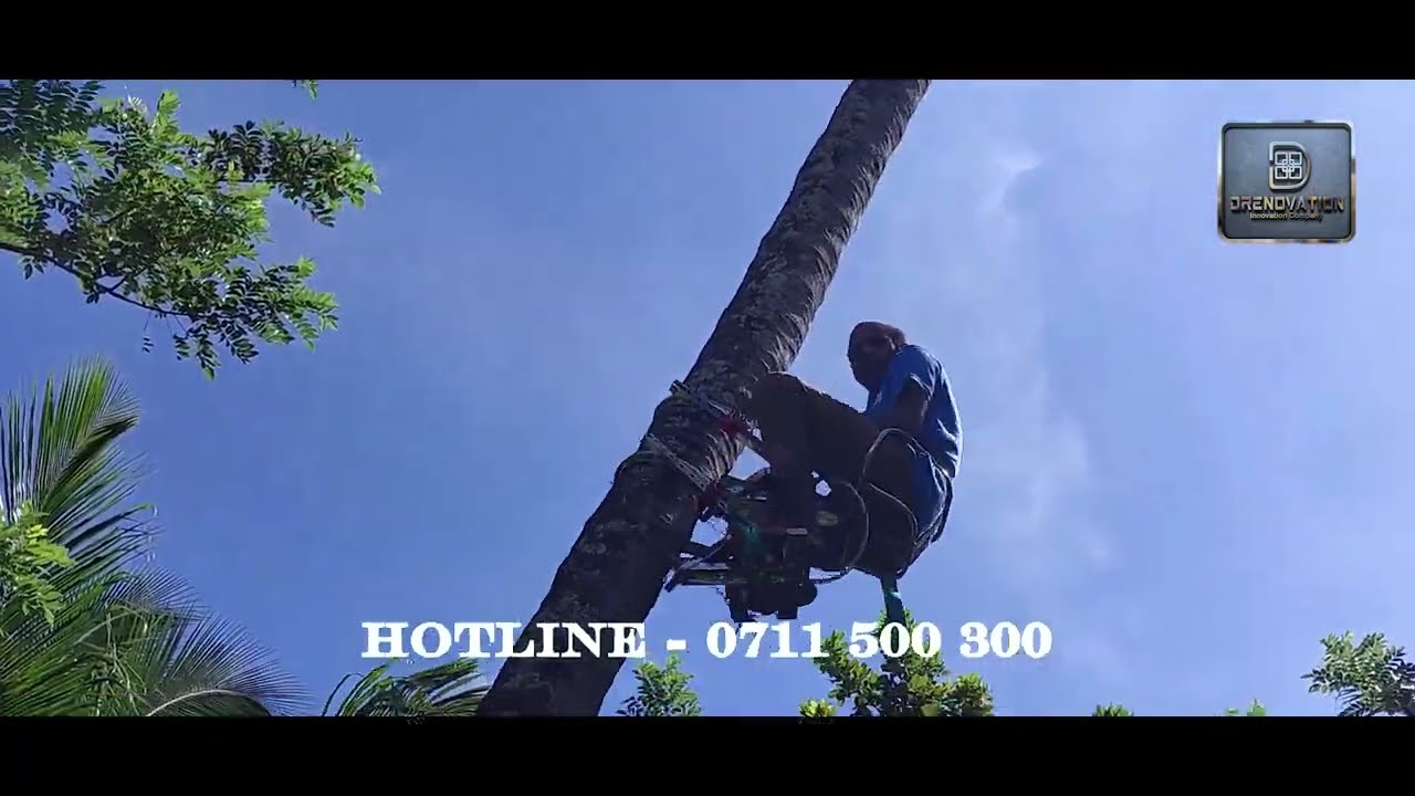 Introduction   Tree Rider