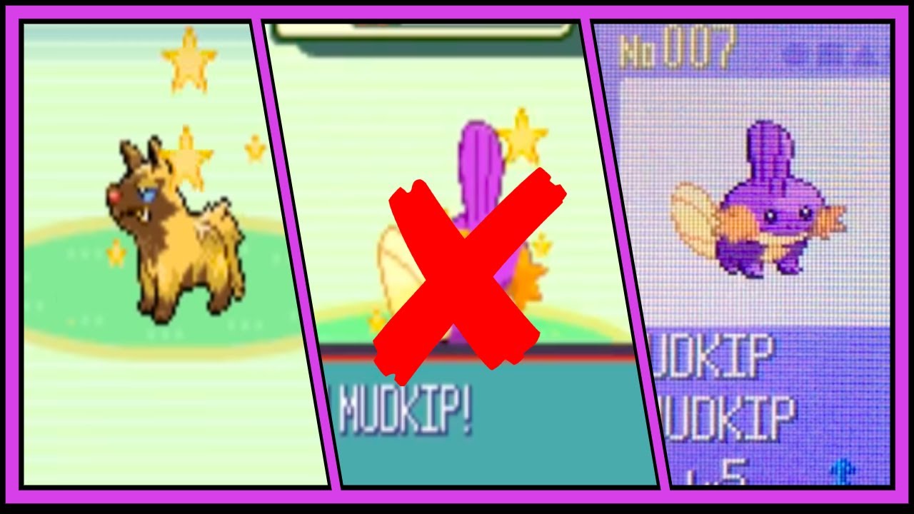 LIVE Shiny Mudkip FAIL and Reclaimed after 2,537 SRs in Pokemon Sapphire (Plus Evolutions)
