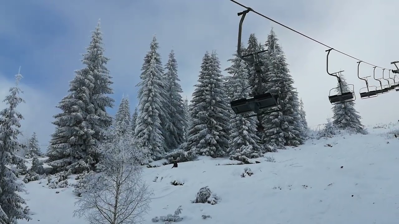 telescaun Buscat Ianuarie 2023