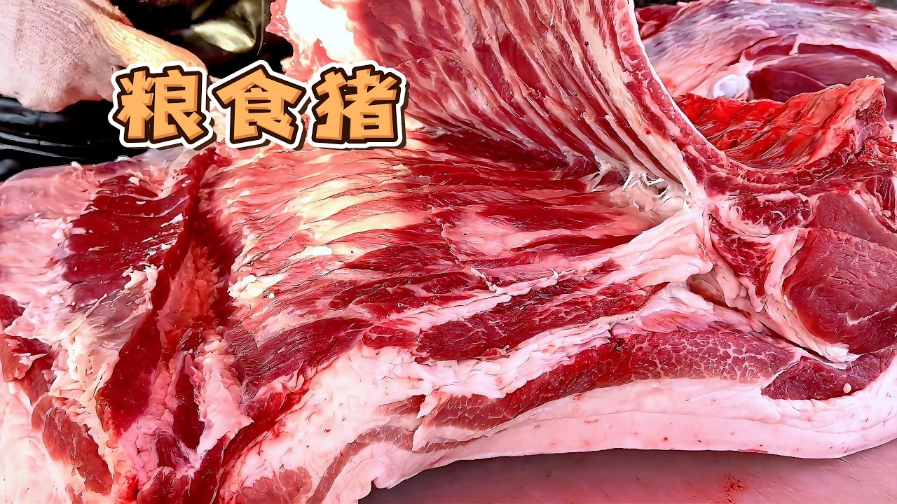 今天華哥豬肉供不應求，叔叔一人買了70公斤，排骨根本搶不到，好像豬肉不要錢一樣【玖叔v​​log】#pork #猪肉 #玖叔vlog#华哥猪肉#玖叔猪肉#豬肉
