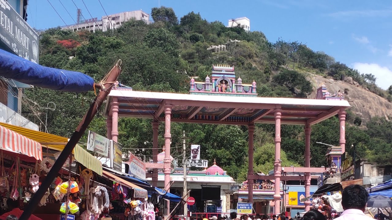 🥳🙏பழனி பாதயாத்திரை 🙏#dindigul to palani #muruga #palanipathaiyathirai #palanimalaimurugan #trending 