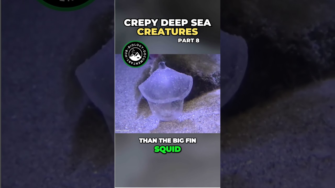 Deep Sea Carnivores Unveiling the Strange and Amazing Predatory Tunicates