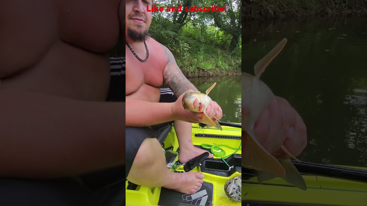 He caught a carp with a tube lure. #fishing #carp #kayak #kayakfishing #fyp