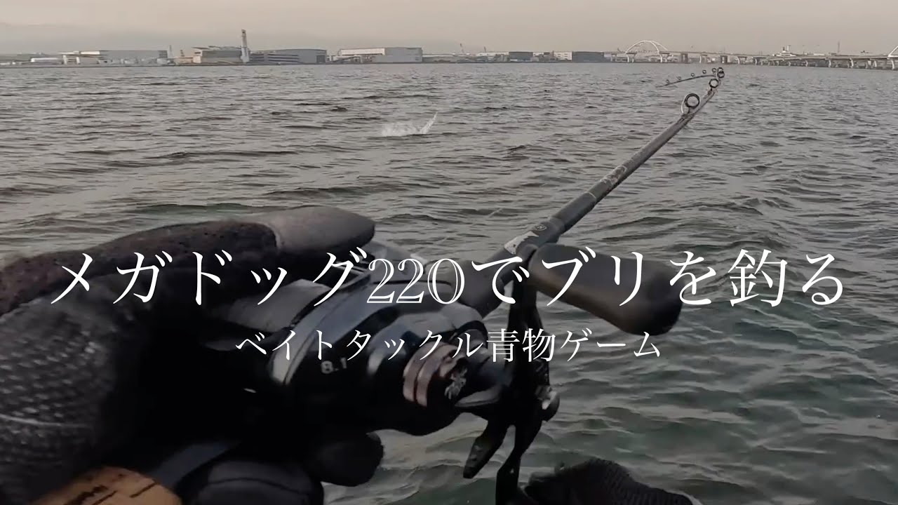 ショアからベイトタックルで青物を掛けてぶち曲げろ【メガドッグ220】