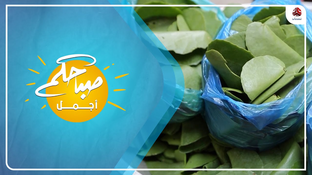 نبات الحلص ... أوراق خضراء بفوائد عجيبة